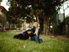 Çim Bakımı: Yeşil ve Sağlıklı Bir Çim Alanı Oluşturma Rehberi cim bakimi yesil ve saglikli bir cim alani olusturma rehberi