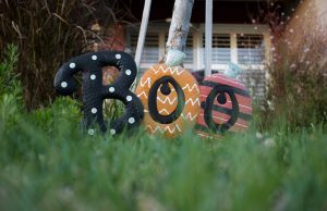 Pomeranian Boo Sahiplenme: Sevimli ve Neşeli Bir Dost Edinmek evciilplatform5