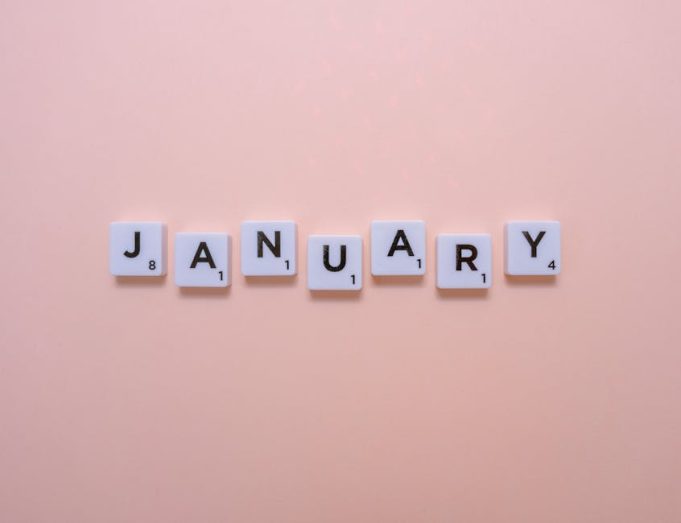 vowel harmony in turkish