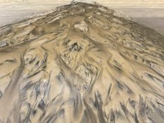 Solucan Nerede Yaşar ve Doğal Yaşam Alanları where do worms live