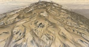 Solucan Nerede Yaşar ve Doğal Yaşam Alanları where do worms live